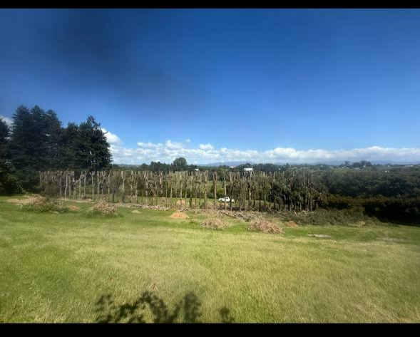 Shelterbelt work Bay of Plenty